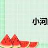小河閘（關于小河閘簡介）