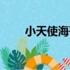 小天使海蒂（關于小天使海蒂簡介）