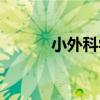 小外科學（關于小外科學簡介）
