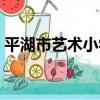 平湖市藝術小學（關于平湖市藝術小學介紹）