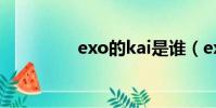 exo的kai是誰(exokai)