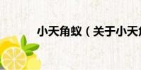 小天角蟻(關于小天角蟻簡介)