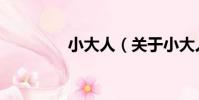 小大人(關于小大人簡介)