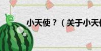 小天使?(關于小天使?簡介)
