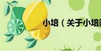 小培(關于小培簡介)