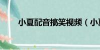 小夏配音搞笑視頻(小夏惡搞配音)