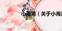 小海灣(關于小海灣簡介)