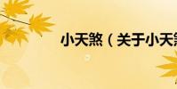 小天煞(關于小天煞簡介)