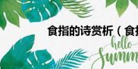 食指的詩賞析(食指的詩)