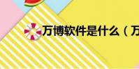 萬博軟件是什么(萬博軟件)
