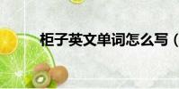 柜子英文單詞怎么寫(柜子英文)