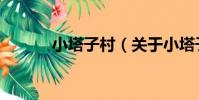 小塔子村(關于小塔子村簡介)
