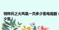 特種兵之火鳳凰一共多少集電視劇(特種兵之火鳳凰一共多少集)