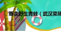 販賣野生青蛙(武漢菜場賣野生青蛙)