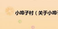 小埠子村(關于小埠子村簡介)