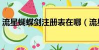 流星蝴蝶劍注冊表在哪(流星蝴蝶劍注冊表)