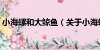 小海螺和大鯨魚(關于小海螺和大鯨魚簡介)