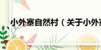 小外寨自然村(關于小外寨自然村簡介)