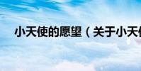 小天使的愿望(關于小天使的愿望簡介)