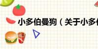 小多伯曼狗(關于小多伯曼狗簡介)