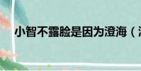小智不露臉是因為澄海(澄海小智照片)