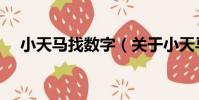 小天馬找數字(關于小天馬找數字簡介)