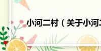 小河二村(關于小河二村簡介)