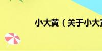 小大黃(關于小大黃簡介)