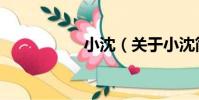小沈(關于小沈簡介)