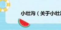 小壯溝(關于小壯溝簡介)