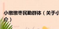小墩墩棗民勤群體(關于小墩墩棗民勤群體簡介)