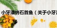 小牙潘納石首魚(關于小牙潘納石首魚簡介)
