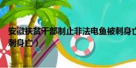 安徽扶貧干部制止非法電魚被刺身亡(干部制止非法電魚被刺身亡)
