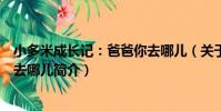小多米成長記:爸爸你去哪兒(關于小多米成長記:爸爸你去哪兒簡介)