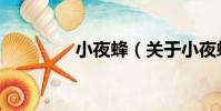 小夜蜂(關于小夜蜂簡介)