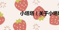 小塔塔(關于小塔塔簡介)