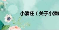 小潘莊(關于小潘莊簡介)
