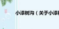 小漆樹溝(關于小漆樹溝簡介)