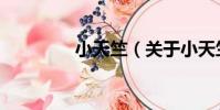 小天竺(關于小天竺簡介)