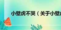 小壁虎不哭(關于小壁虎不哭簡介)