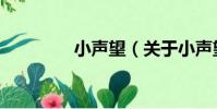 小聲望(關于小聲望簡介)