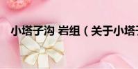 小塔子溝 巖組(關于小塔子溝 巖組簡介)