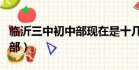 臨沂三中初中部現在是十幾種(臨沂三中初中部)