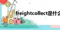 freightcollect是什么貿易術語