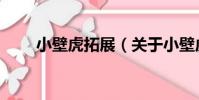 小壁虎拓展(關于小壁虎拓展簡介)