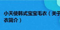 小天使韓式寶寶毛衣(關于小天使韓式寶寶毛衣簡介)