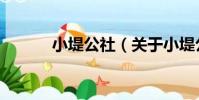 小堤公社(關于小堤公社簡介)