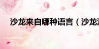 沙龍來自哪種語言(沙龍源于哪國語言)
