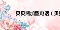 貝貝熊加盟電話(貝貝熊加盟)