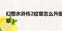 幻想水滸傳2紋章怎么升級(幻想水滸傳2紋章)